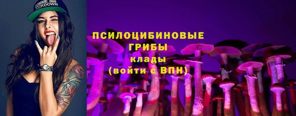 таблы Дмитров