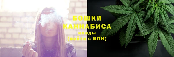 метадон Белокуриха